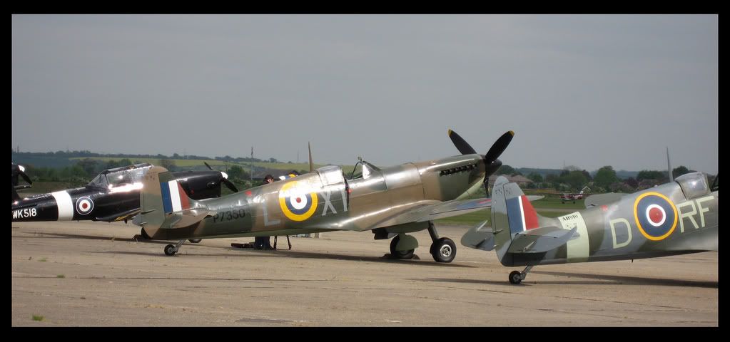 [Image: Spitfire4.jpg]