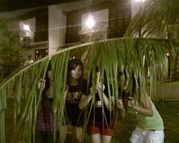 Photo Sharing and Video Hosting at Photobucket