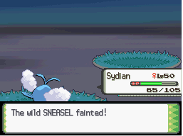 [PokeCommunity.com] Delibird's Stocking Stuffers