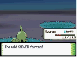 [PokeCommunity.com] Delibird's Stocking Stuffers