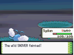 [PokeCommunity.com] Delibird's Stocking Stuffers