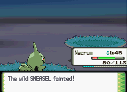 [PokeCommunity.com] Delibird's Stocking Stuffers