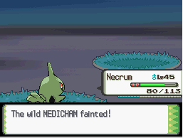[PokeCommunity.com] Delibird's Stocking Stuffers