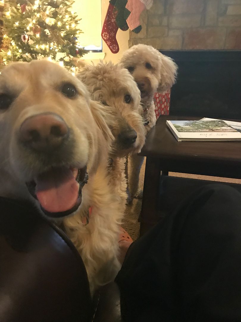 7EAC76F5-404F-45C1-A105-976B71FB8D7B.jpe