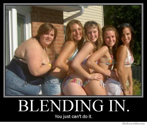 photo blending-in-you-just-cant-do-it_zps09773983.jpg