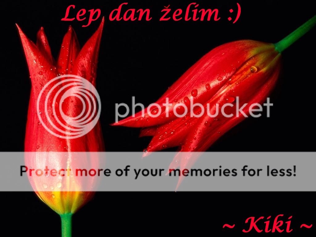 LD_zpseb211fec.jpg