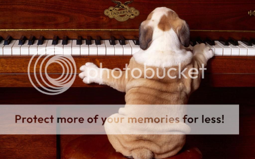 play_it_again-wide_zps6732514c.jpg