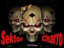 sektorcharr.jpg