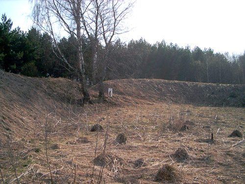 Место бывшего Спас-Тешиловского городища в апреле 2006 Место бывшего Спас-Тешиловского городища в апреле 2006