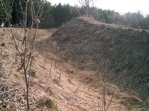Место бывшего Спас-Тешиловского городища в апреле 2006 Место бывшего Спас-Тешиловского городища в апреле 2006