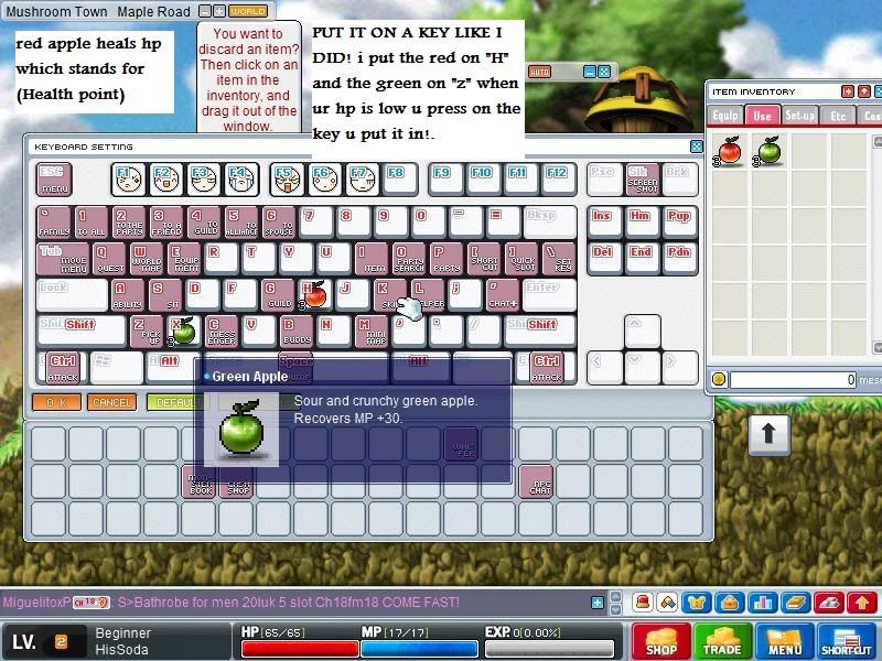 User Image