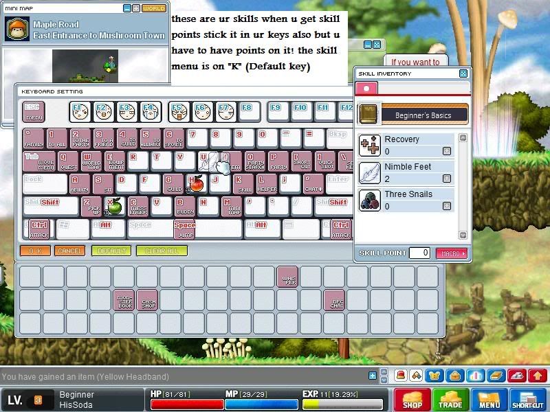 User Image