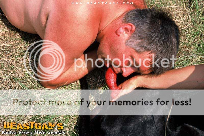 gay-bestiality-dogsex-o5.jpg
